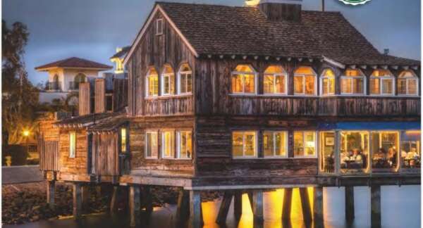 VINYL | PVC-FREE - 150 (Matte)